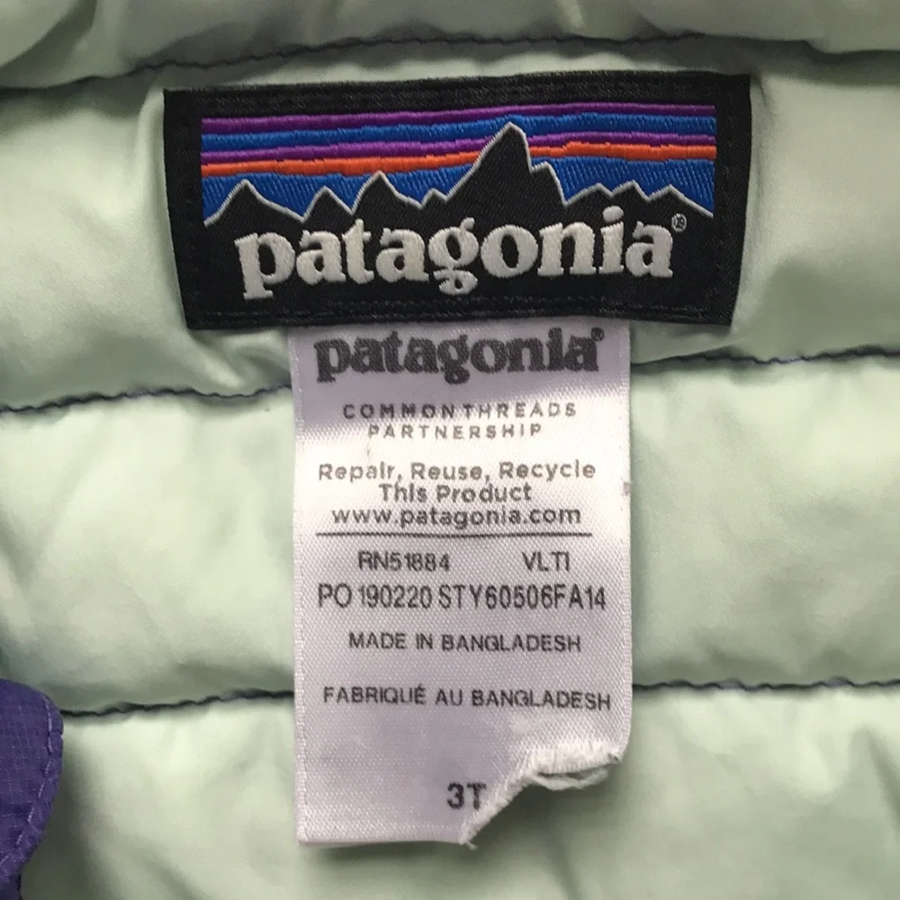 Patagonia Down Vest (size 3T)